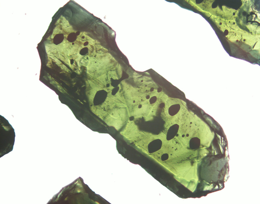 Photomicrograph of a clinopyroxene crystal.