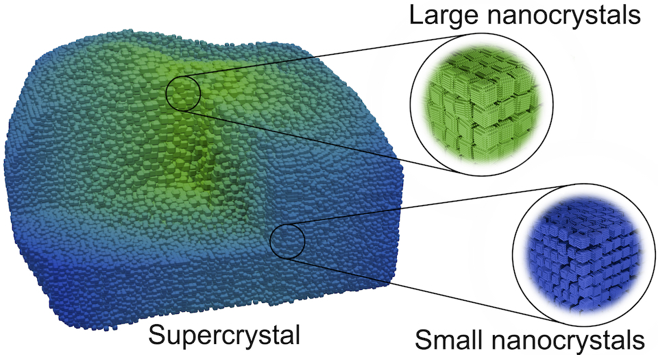 A blue and green cube-like structure turns out on closer inspection to be an organised collection of larger (green) and smaller (blue) cubes. The large structure is labelled with the word ‘Supercrystal’, the green cubes highlighted with a magnifying glass with ‘large nanocrystals’ and the blue ones with ‘small nanocrystals’. A blue and green cube-like structure turns out on closer inspection to be an organised collection of larger (green) and smaller (blue) cubes. The large structure is labelled with the word ‘Supercrystal’, the green cubes highlighted with a magnifying glass with ‘large nanocrystals’ and the blue ones with ‘small nanocrystals’.
