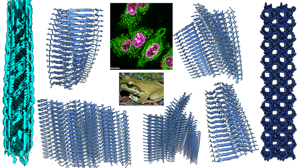 Scientific graph of different molecular formations in different shades of blue.