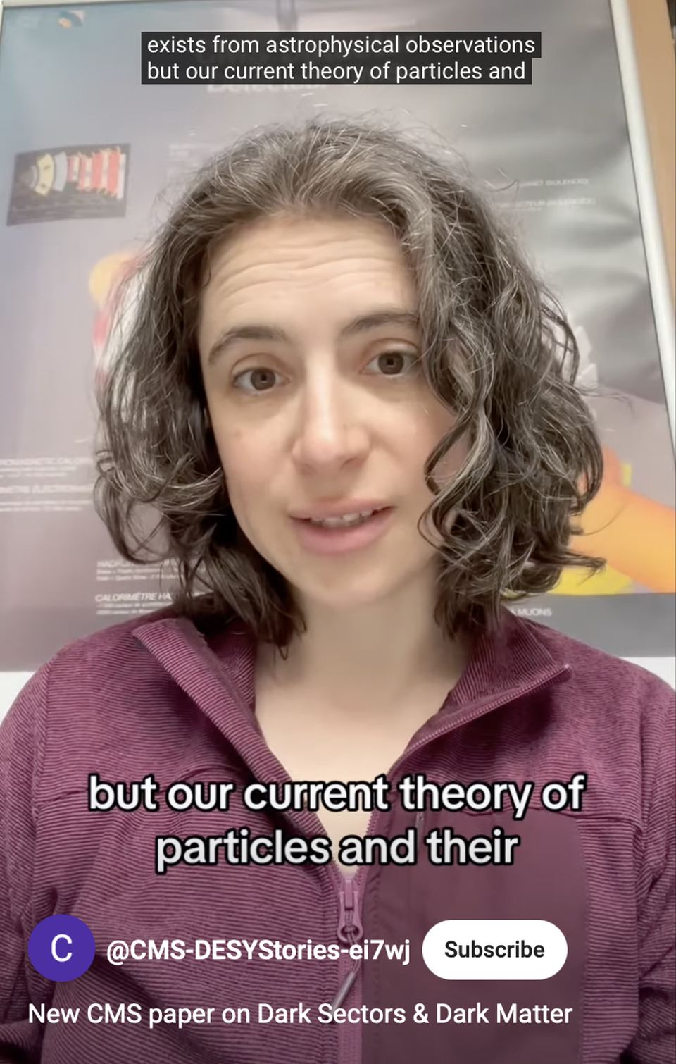 Person mit lockigem Haar und violetter Jacke spricht vor einem Poster über Teilchenphysik und Dunkle Materie.