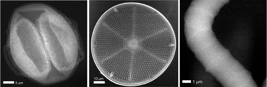 Microscopic images using Compton X-ray scattering microscopy at PETRA III