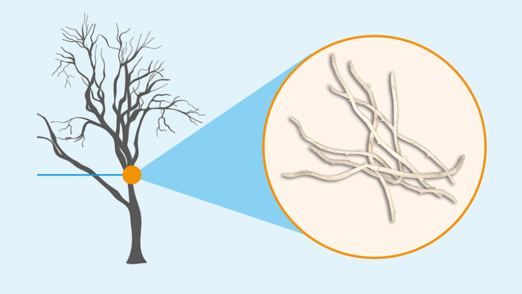 Symbolic image for research questions centred on sustainability.