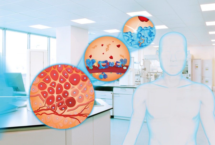 The background of the photo collage shows a medical research laboratory. The schematic representation of a human body is placed in the foreground on the right, to the left of which are three circular image sections with medical illustrations in them. The circles are staggered from the foreground to the background and are shown with decreasing size from front to back. They are reminiscent of the view through an X-ray microscope. From the first to the third circle, there is a gradual approach in the respective image content from the size level of the tissue via that of the cell walls down to the molecular level.