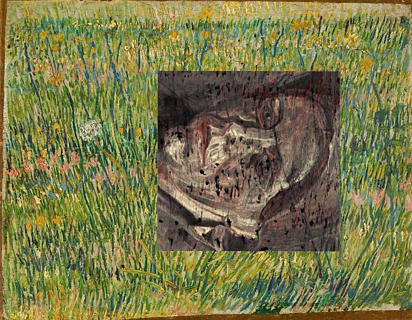 Covered by colour layers of a meadow in summer, the portrait of an elderly woman is made visible by an X-ray light source. Covered by colour layers of a meadow in summer, the portrait of an elderly woman is made visible by an X-ray light source.
